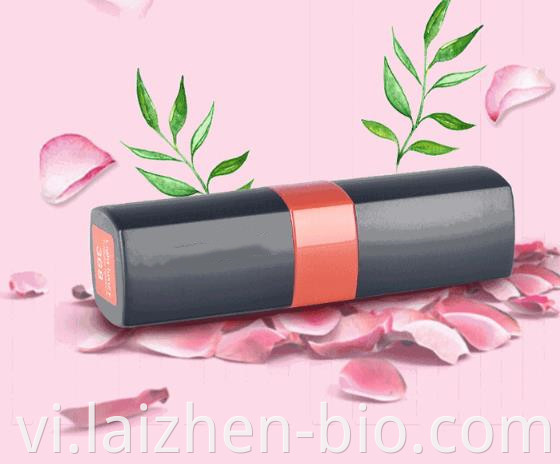 Long-Wear Makeup Mist Matte Lipstick